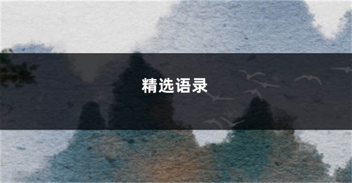 精选语录