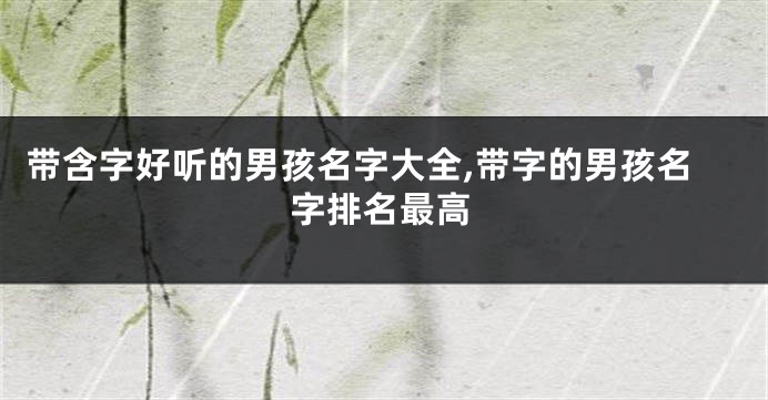 带含字好听的男孩名字大全,带字的男孩名字排名最高