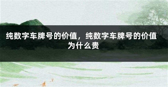 纯数字车牌号的价值，纯数字车牌号的价值为什么贵