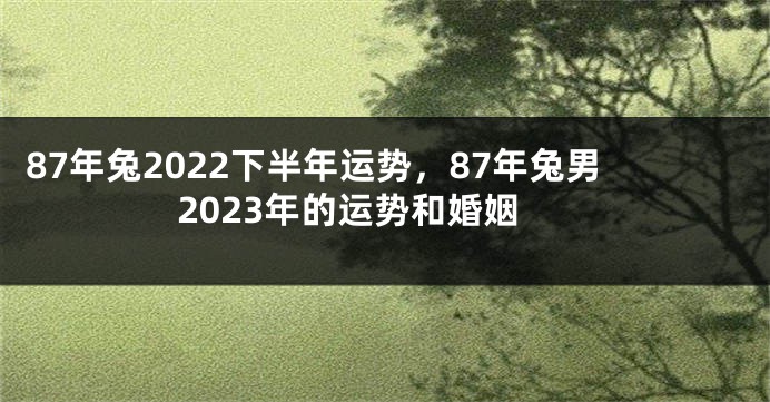 87年兔2022下半年运势，87年兔男2023年的运势和婚姻
