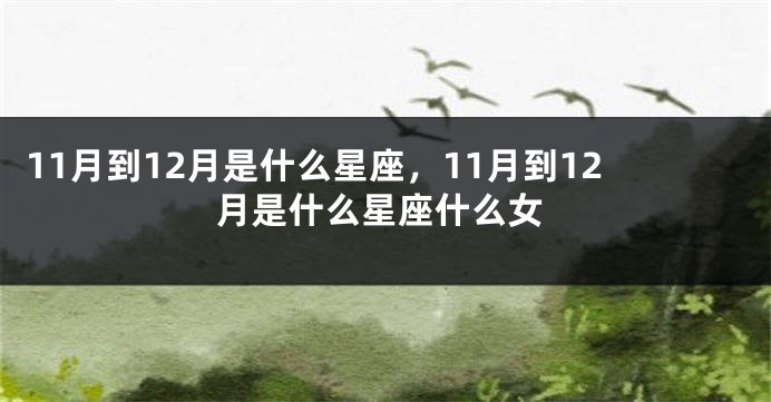 11月到12月是什么星座，11月到12月是什么星座什么女