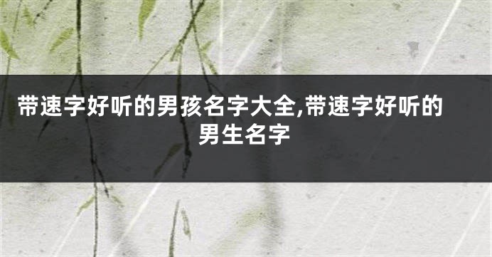 带速字好听的男孩名字大全,带速字好听的男生名字