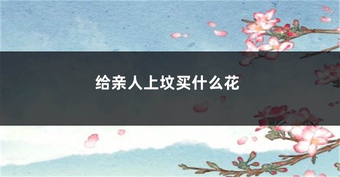 给亲人上坟买什么花