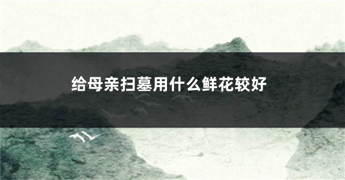 给母亲扫墓用什么鲜花较好