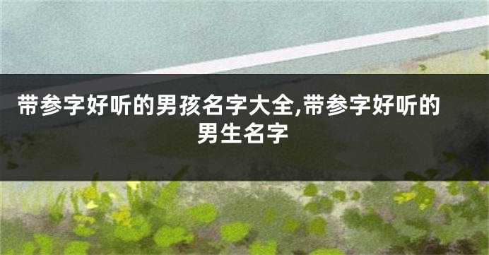 带参字好听的男孩名字大全,带参字好听的男生名字