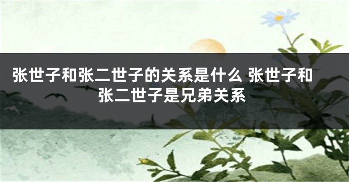 张世子和张二世子的关系是什么 张世子和张二世子是兄弟关系