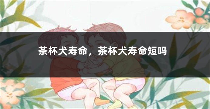 茶杯犬寿命，茶杯犬寿命短吗