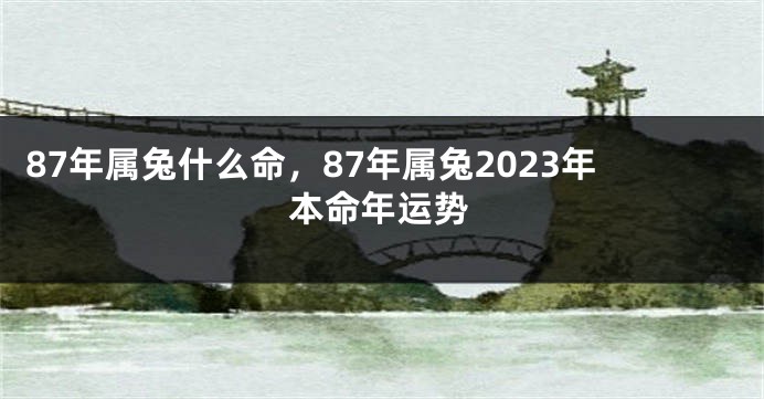 87年属兔什么命，87年属兔2023年本命年运势