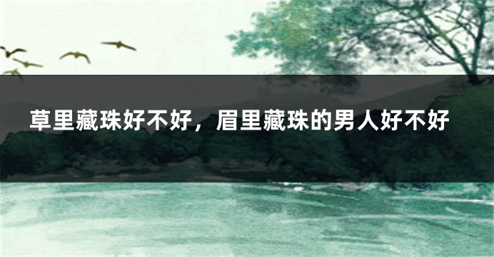 草里藏珠好不好，眉里藏珠的男人好不好
