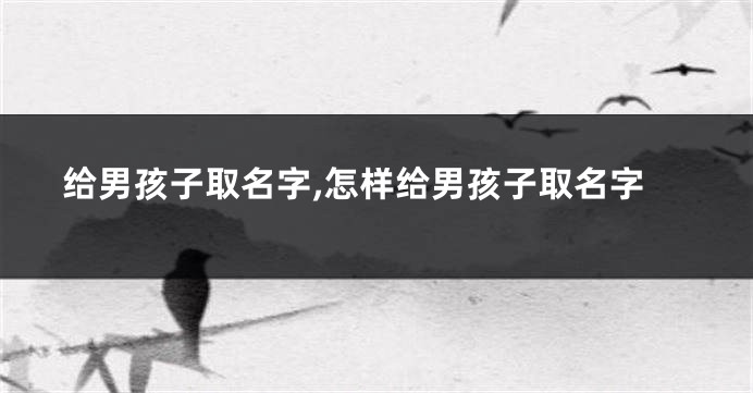 给男孩子取名字,怎样给男孩子取名字