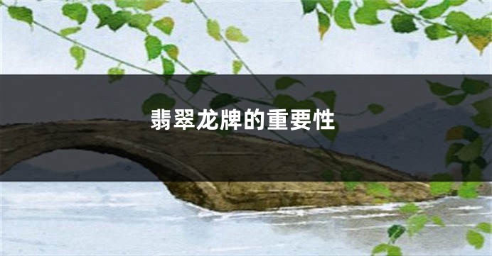 翡翠龙牌的重要性