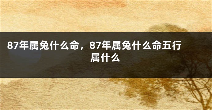 87年属兔什么命，87年属兔什么命五行属什么