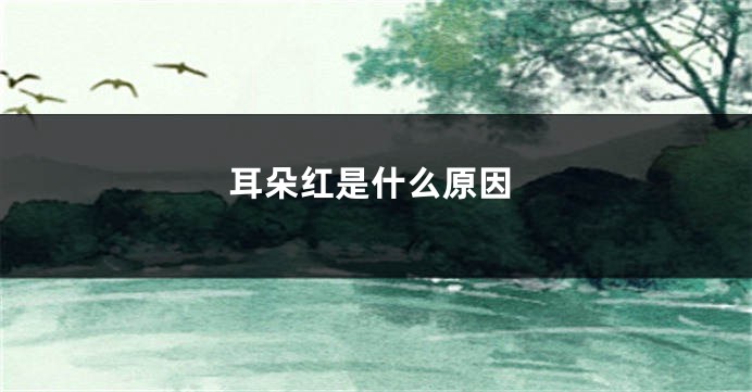 耳朵红是什么原因