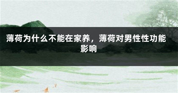 薄荷为什么不能在家养,薄荷对男性性功能影响