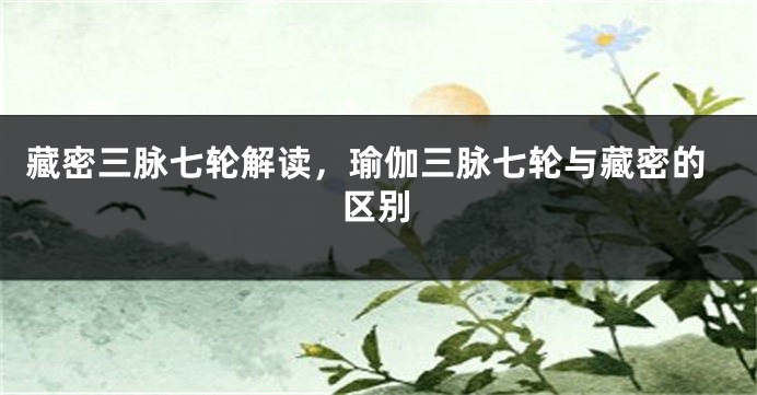 藏密三脉七轮解读，瑜伽三脉七轮与藏密的区别