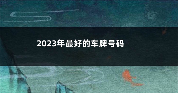 2023年最好的车牌号码
