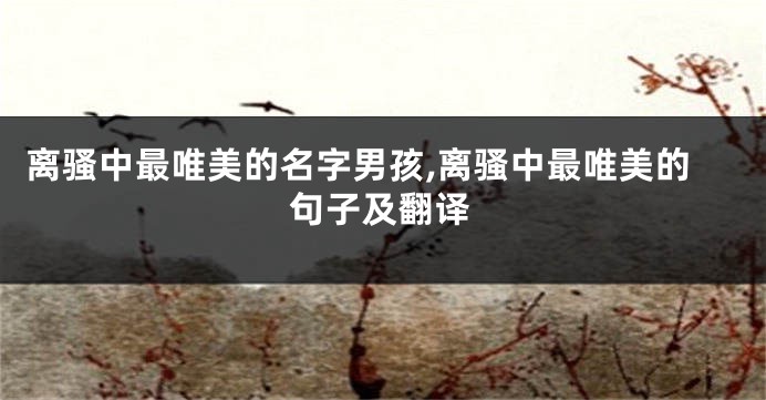离骚中最唯美的名字男孩,离骚中最唯美的句子及翻译