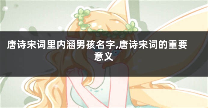 唐诗宋词里内涵男孩名字,唐诗宋词的重要意义