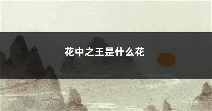 花中之王是什么花