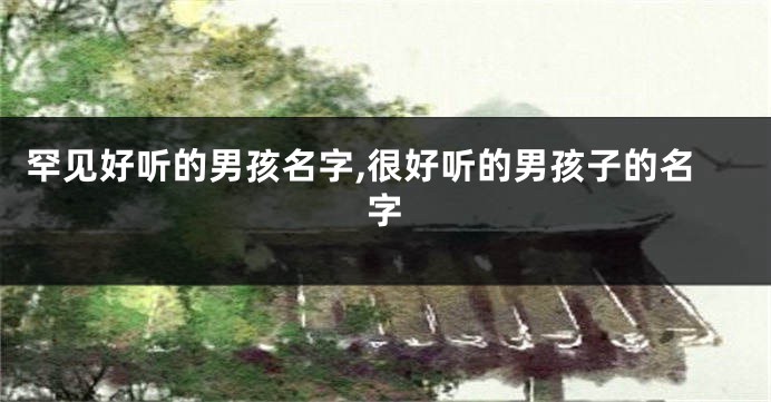 罕见好听的男孩名字,很好听的男孩子的名字