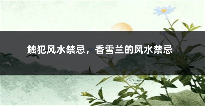 触犯风水禁忌,香雪兰的风水禁忌