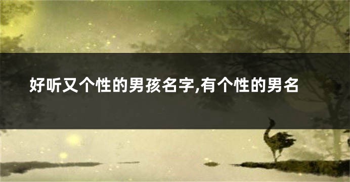 好听又个性的男孩名字,有个性的男名