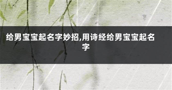 给男宝宝起名字妙招,用诗经给男宝宝起名字