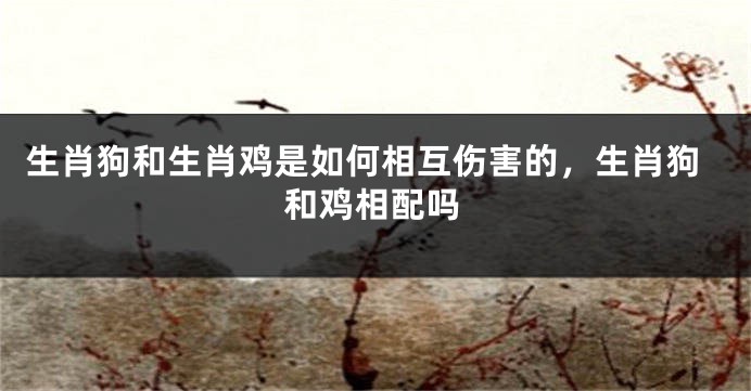 生肖狗和生肖鸡是如何相互伤害的，生肖狗和鸡相配吗