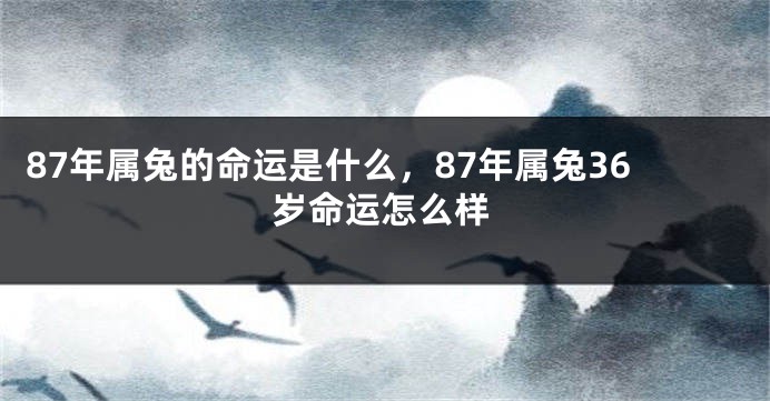 87年属兔的命运是什么，87年属兔36岁命运怎么样