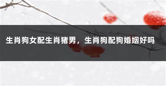 生肖狗女配生肖猪男，生肖狗配狗婚姻好吗