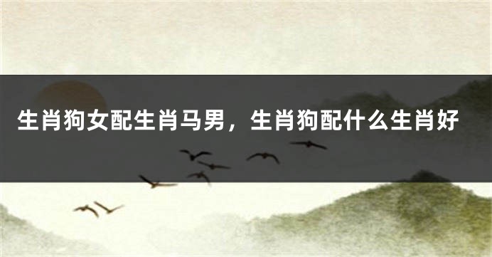 生肖狗女配生肖马男，生肖狗配什么生肖好