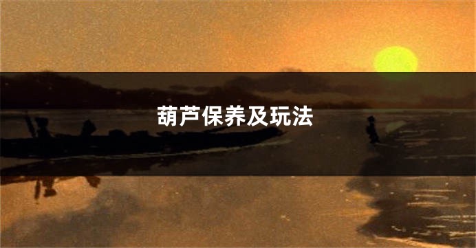 葫芦保养及玩法