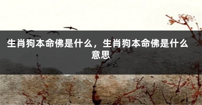 生肖狗本命佛是什么，生肖狗本命佛是什么意思