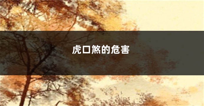 虎口煞的危害