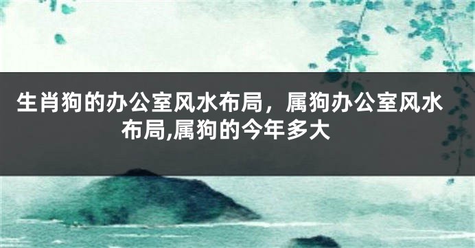 生肖狗的办公室风水布局，属狗办公室风水布局,属狗的今年多大