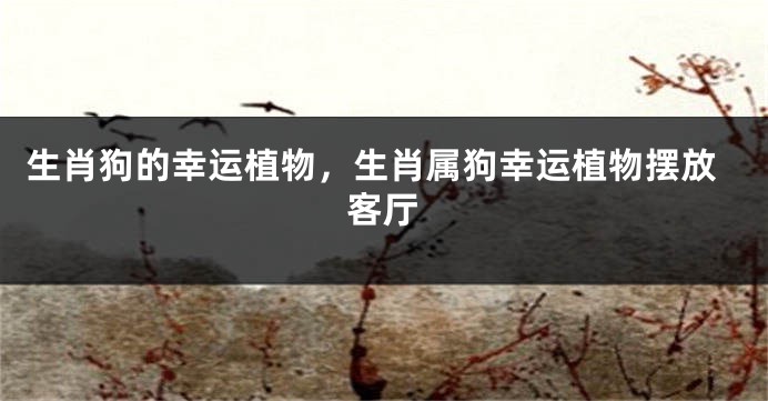 生肖狗的幸运植物，生肖属狗幸运植物摆放客厅
