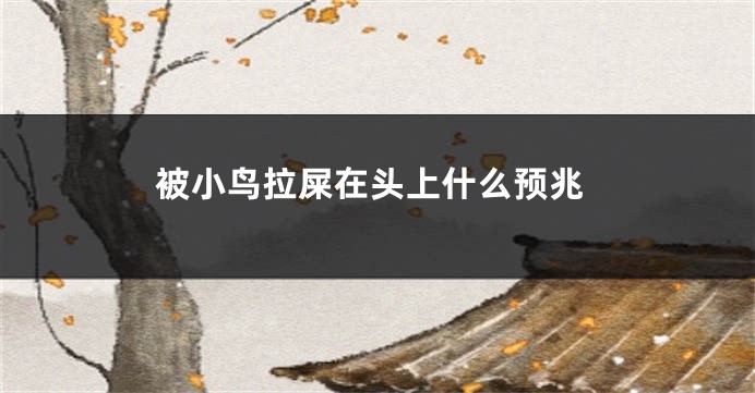 被小鸟拉屎在头上什么预兆