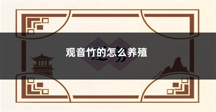 观音竹的怎么养殖
