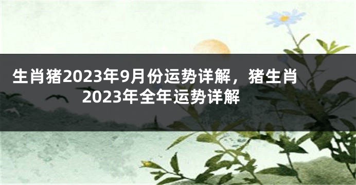 生肖猪2023年9月份运势详解，猪生肖2023年全年运势详解