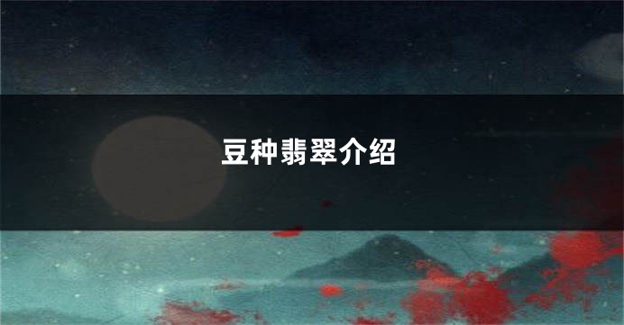 豆种翡翠介绍