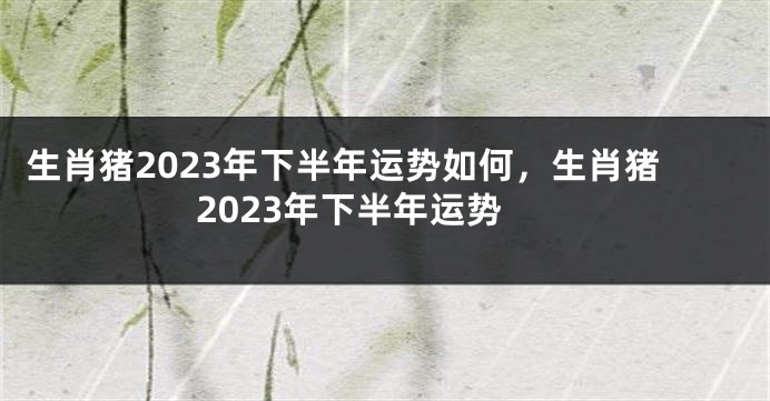 生肖猪2023年下半年运势如何，生肖猪2023年下半年运势
