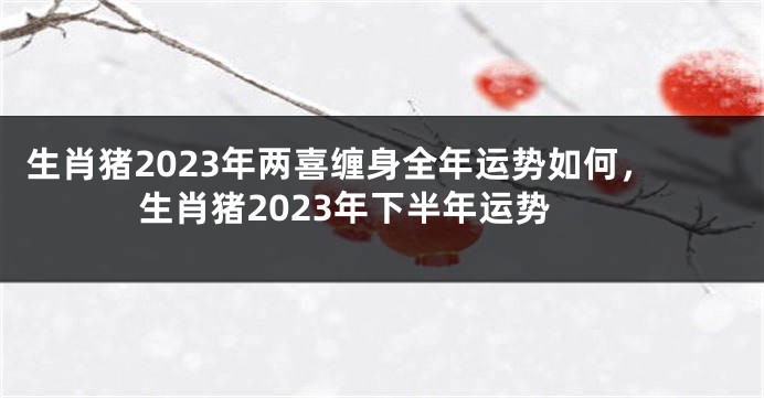 生肖猪2023年两喜缠身全年运势如何，生肖猪2023年下半年运势