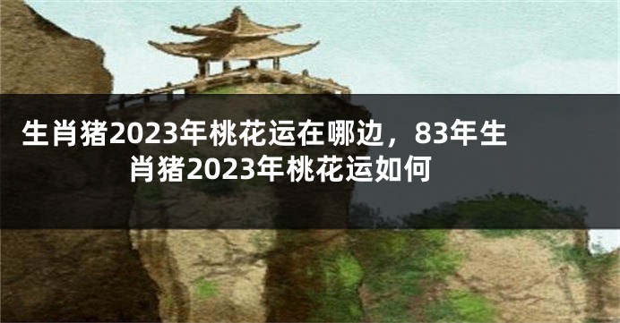 生肖猪2023年桃花运在哪边，83年生肖猪2023年桃花运如何