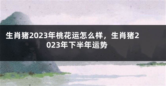 生肖猪2023年桃花运怎么样，生肖猪2023年下半年运势