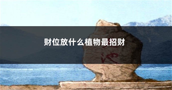 财位放什么植物最招财