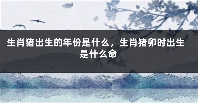 生肖猪出生的年份是什么，生肖猪卯时出生是什么命