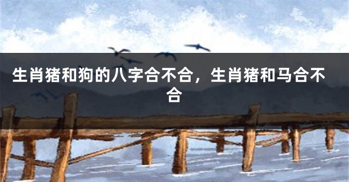 生肖猪和狗的八字合不合，生肖猪和马合不合
