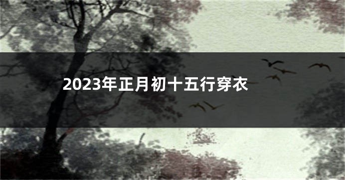 2023年正月初十五行穿衣