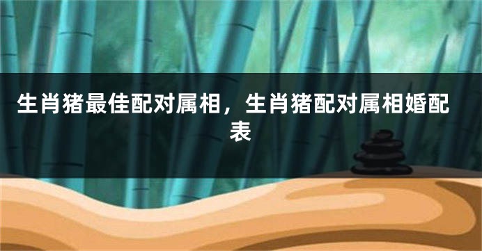 生肖猪最佳配对属相，生肖猪配对属相婚配表