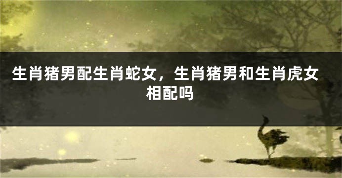 生肖猪男配生肖蛇女，生肖猪男和生肖虎女相配吗
